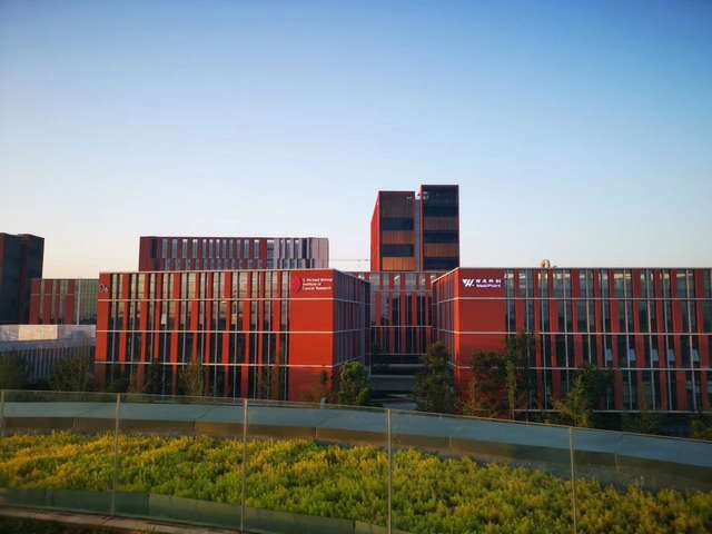 北京扳扣腰带什么牌子好